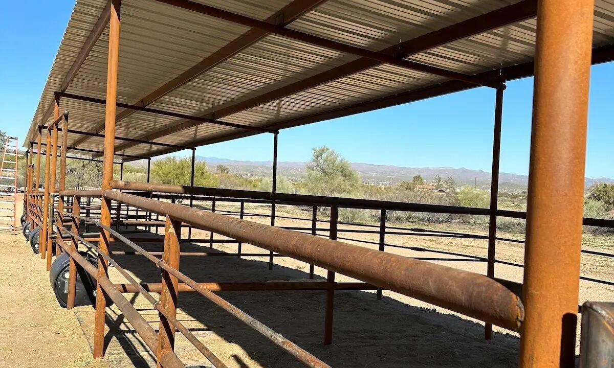 Photo of Others in Wickenburg