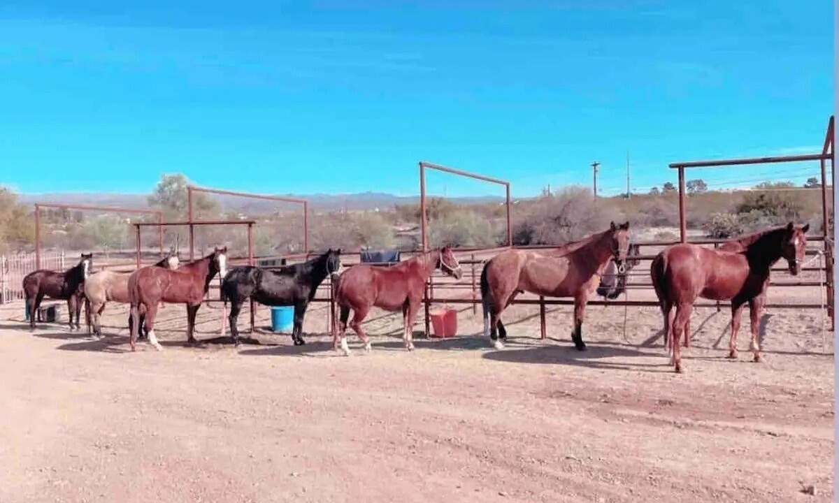 Photo of Outdoor in Wickenburg