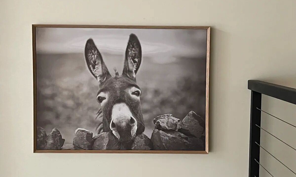 Photo of Others in Wickenburg