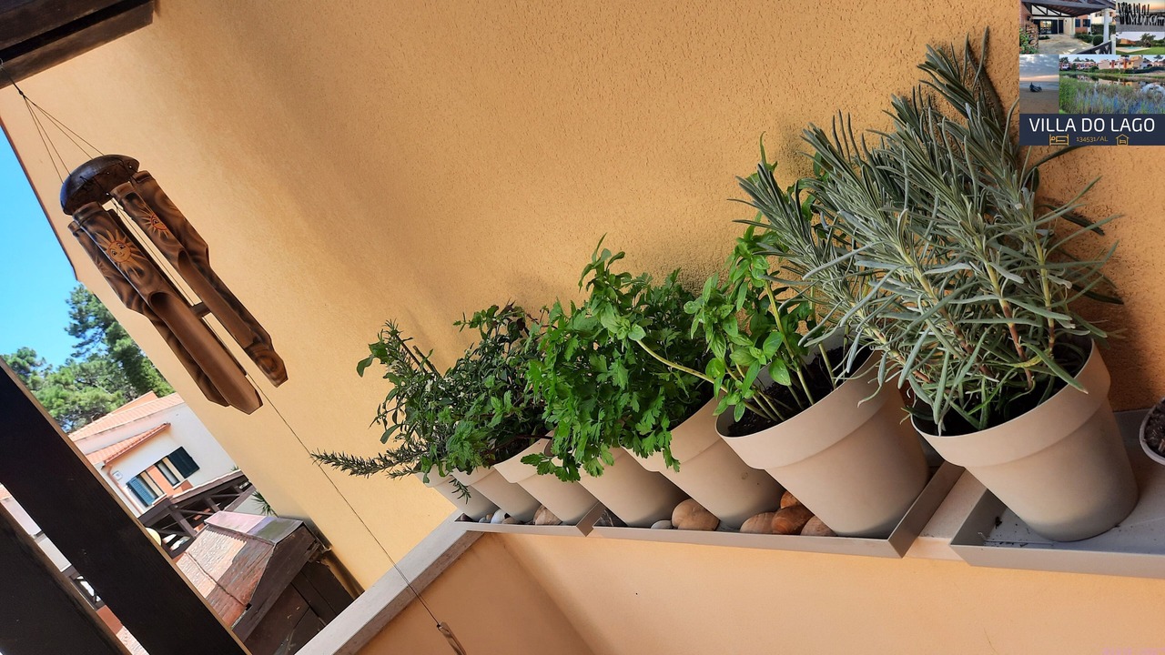 Photo of Outdoor in Praia de Mira