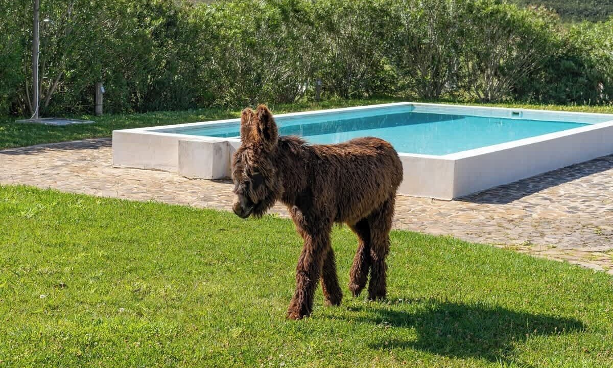 Photo of Outdoor in Portimao