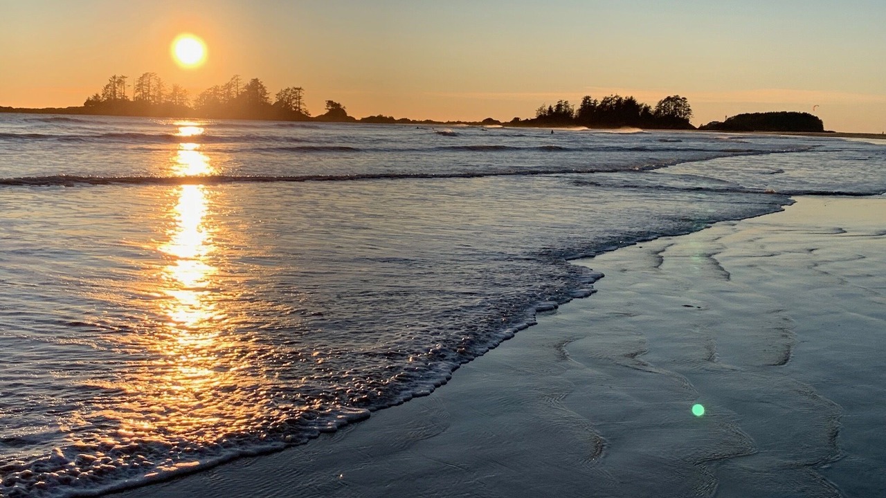 Photo of Others in Tofino