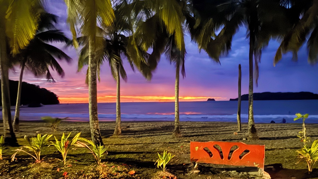 Photo of Others in Puerto Carrillo