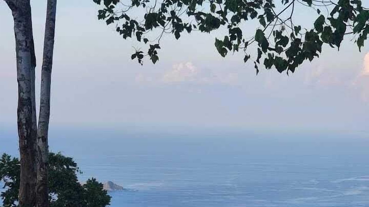 Photo of Others in Uvita