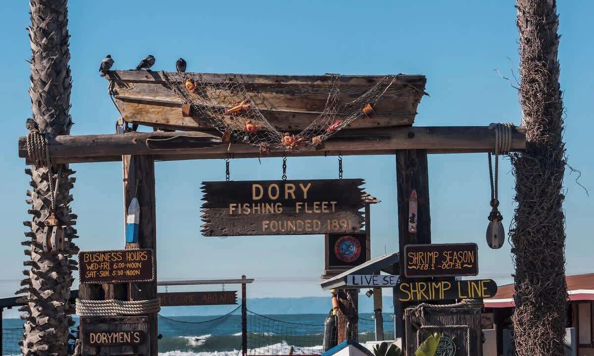 Photo of Others in West Newport