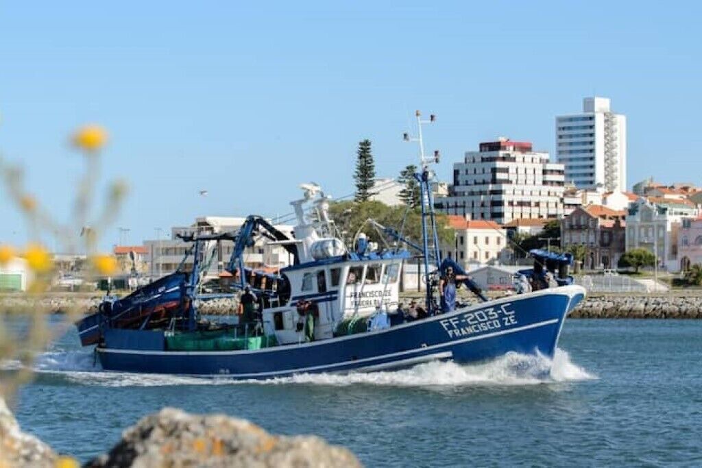 Photo of Others in Sao Juliao da Figueira da Foz