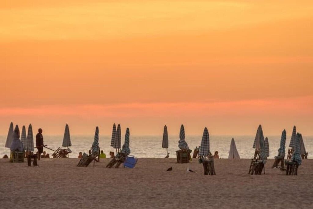 Photo of Others in Sao Juliao da Figueira da Foz
