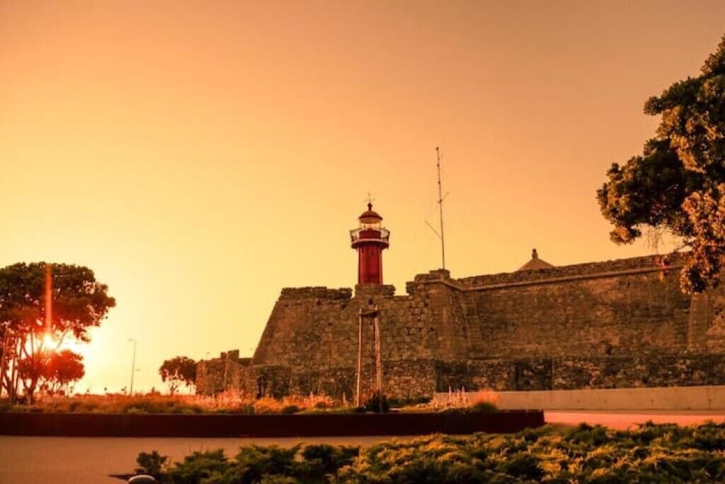 Photo of Others in Sao Juliao da Figueira da Foz
