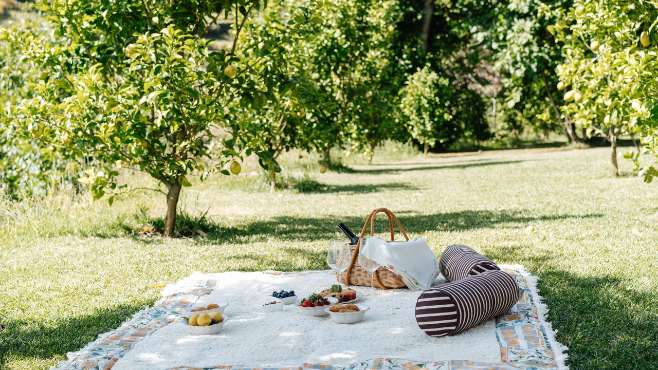 Photo of Outdoor in Baiao