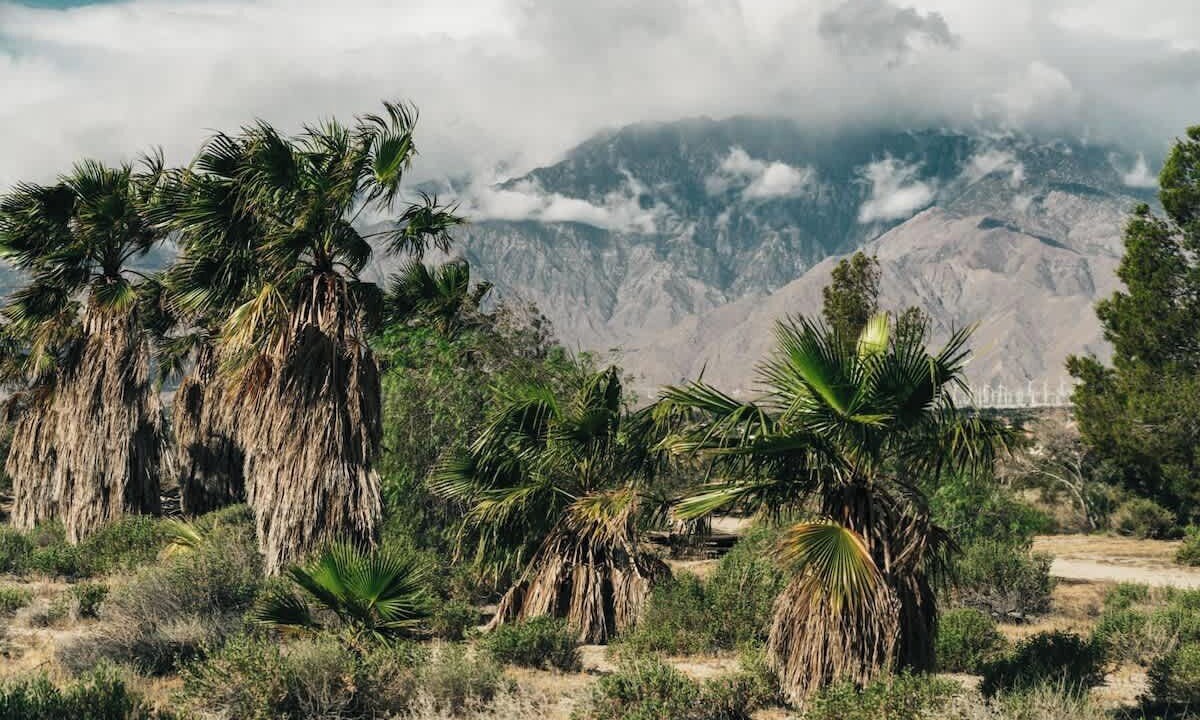 Photo of Others in Desert Hot Springs