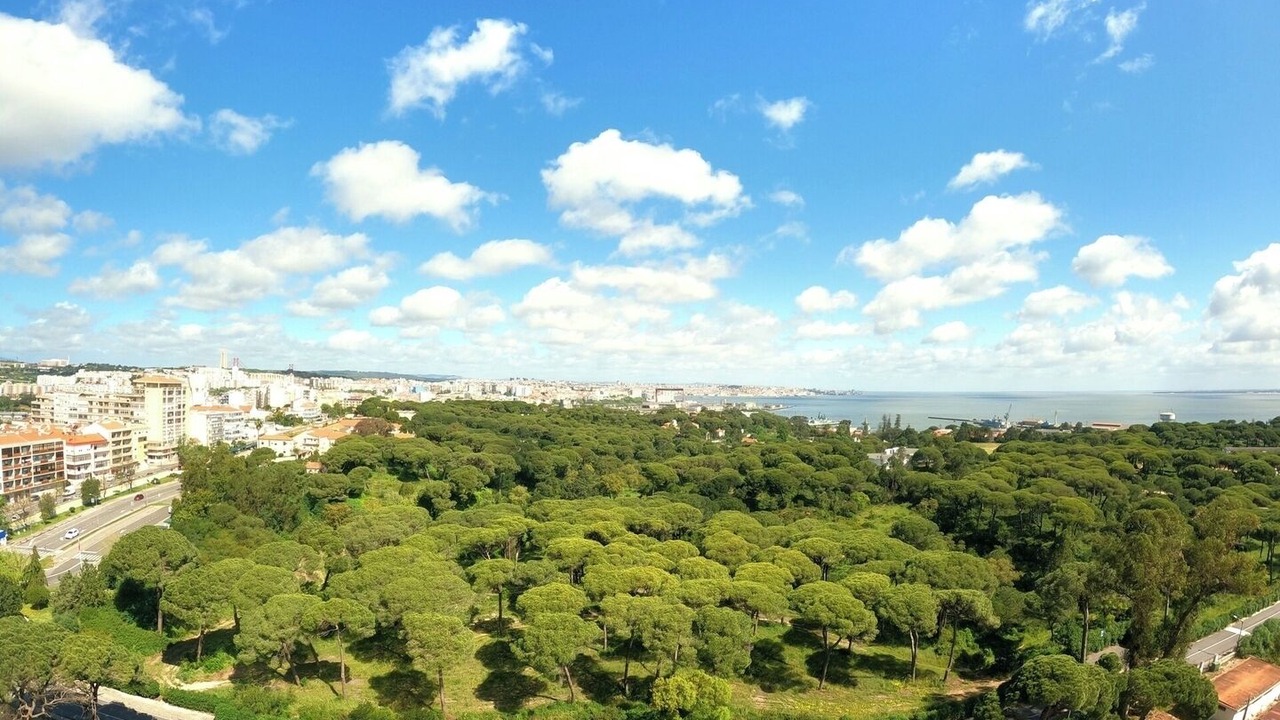 Photo of Outdoor in Laranjeiro