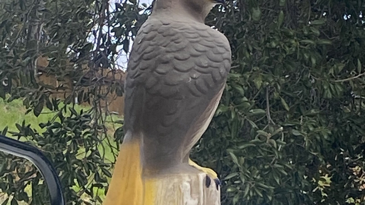 Photo of Others in Julian