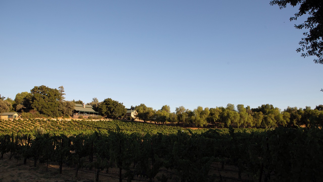 Photo of Others in Los Olivos