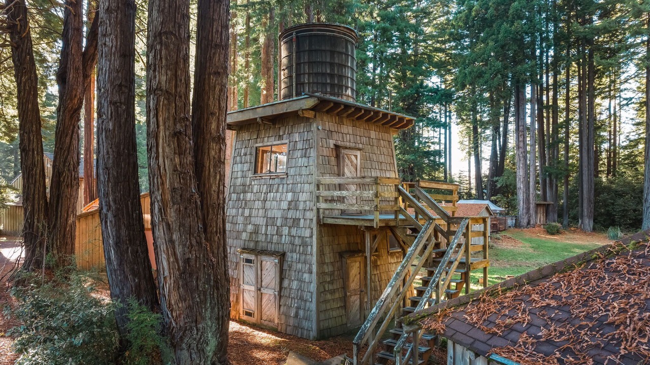 Photo of Outdoor in Albion