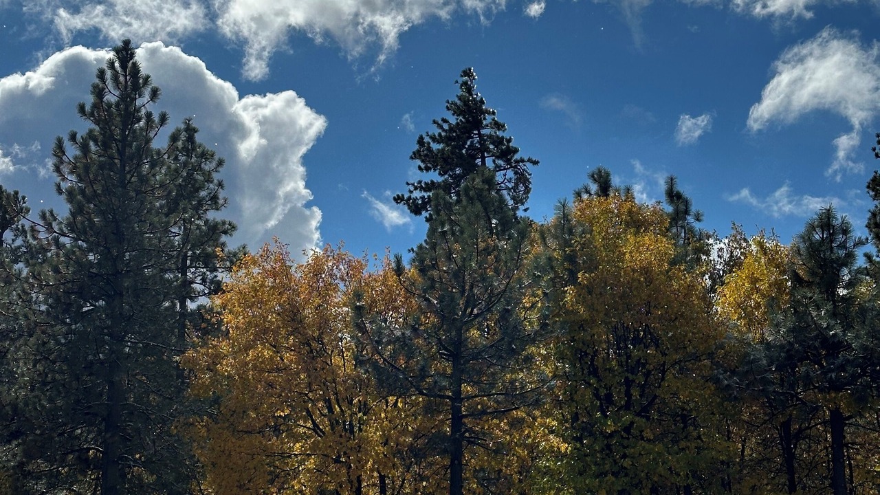 Photo of Others in Mount Laguna