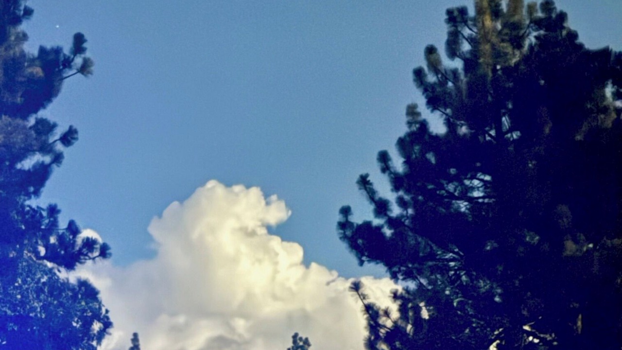 Photo of Others in Mount Laguna