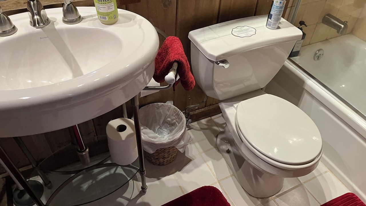Photo of Bathroom in Idyllwild
