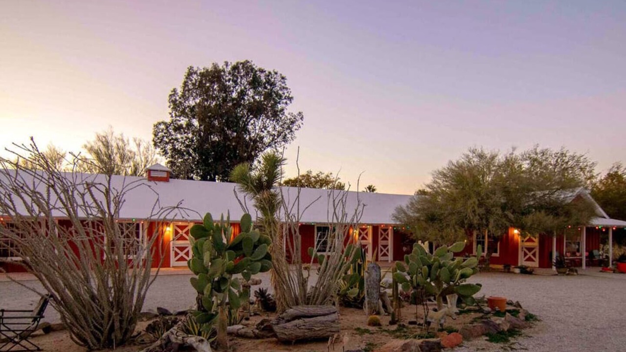 Photo of Others in Joshua Tree