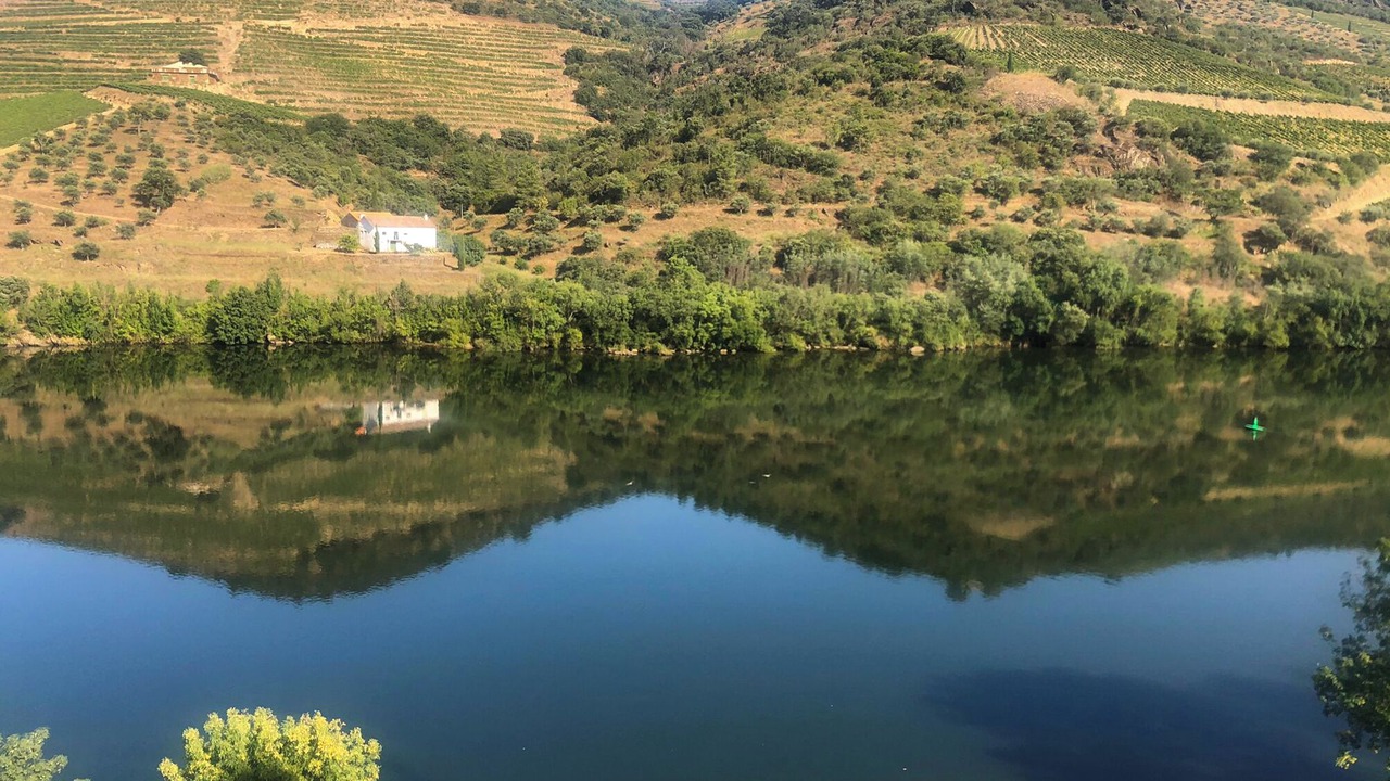 Photo of Outdoor in Vila Nova de Foz Coa