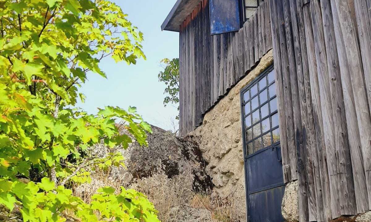 Photo of Outdoor in Covilha