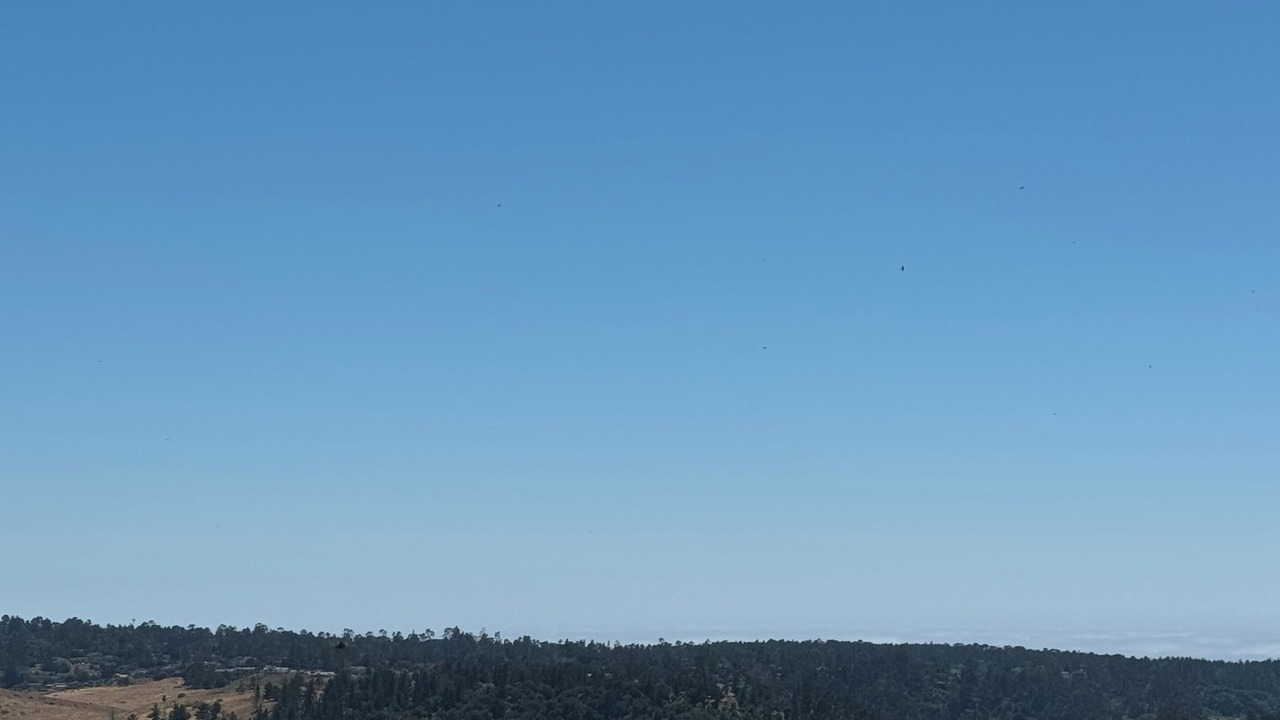 Photo of Others in Cambria