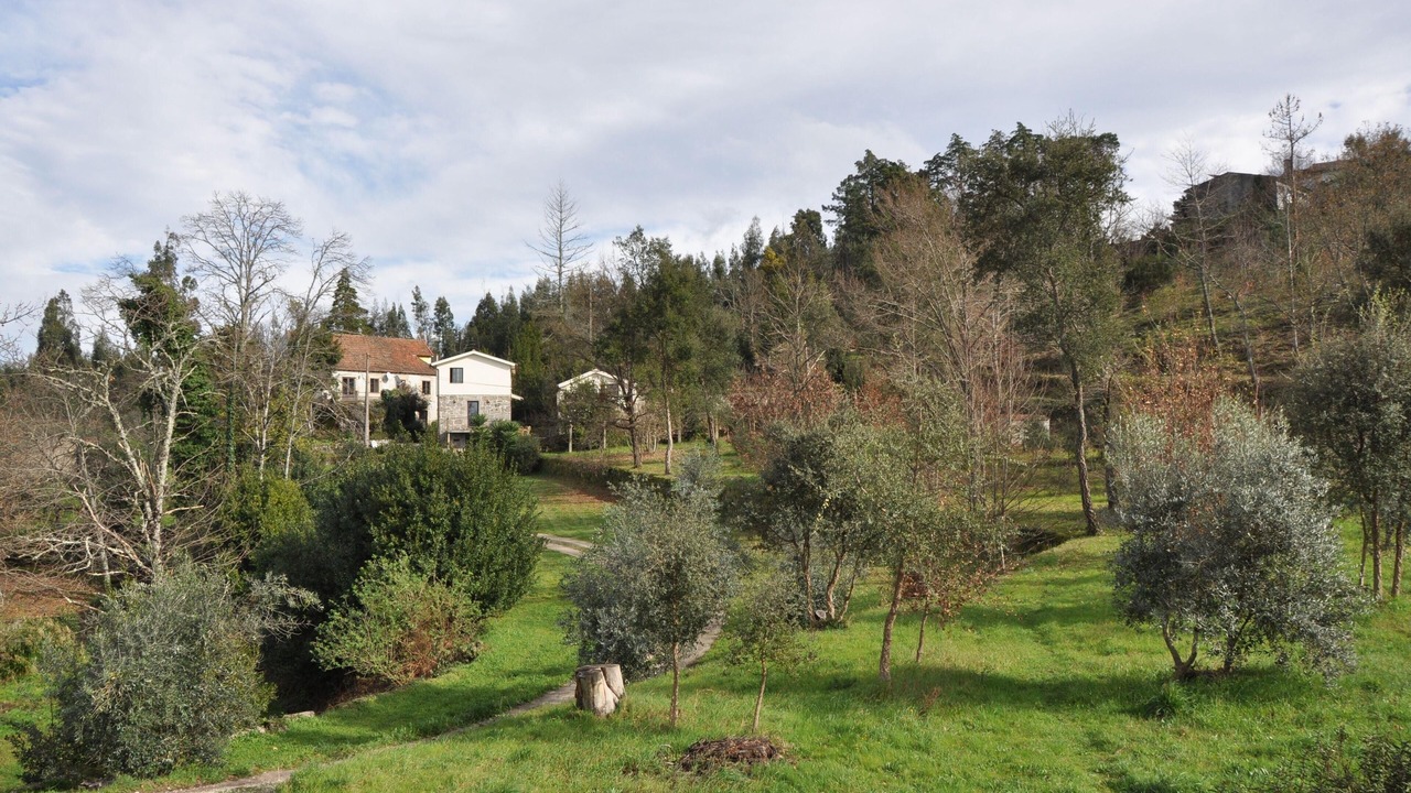 Photo of Outdoor in Oliveira do Hospital