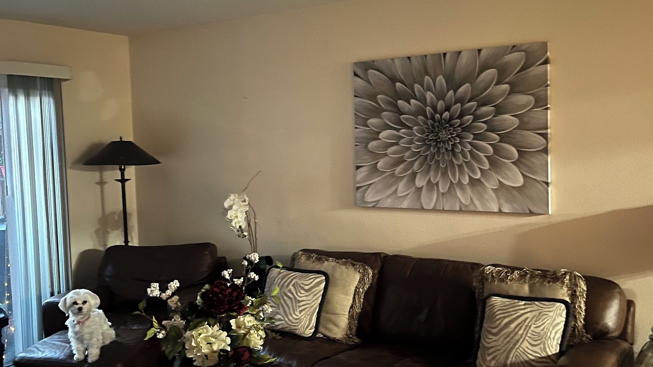 Photo of Livingroom in Palm Desert