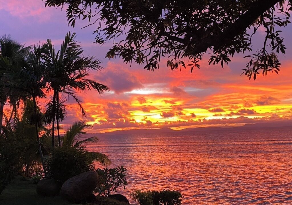 Photo of Others in Taveuni Island East
