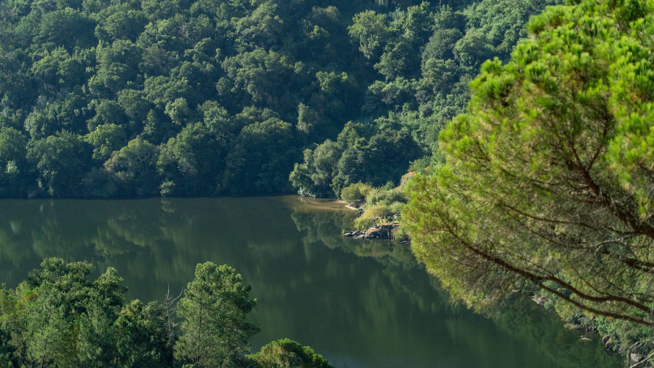 Photo of Outdoor in Frende