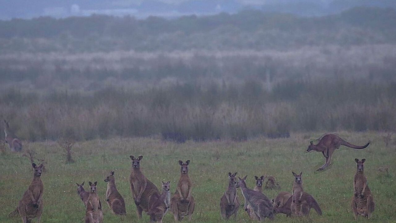 Photo of Others in Venus Bay