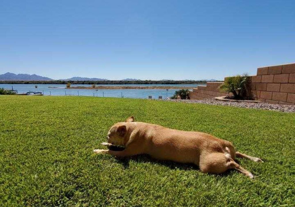 Photo of Others in Blythe