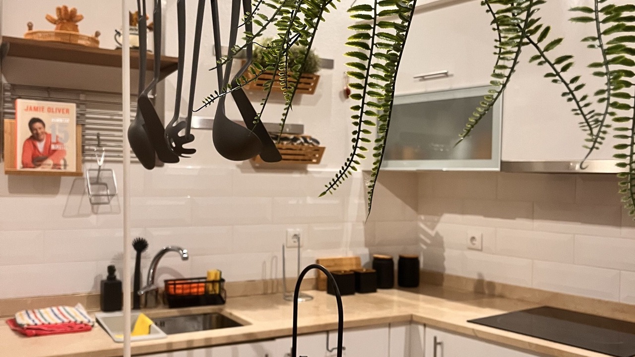 Photo of Kitchen in Evora
