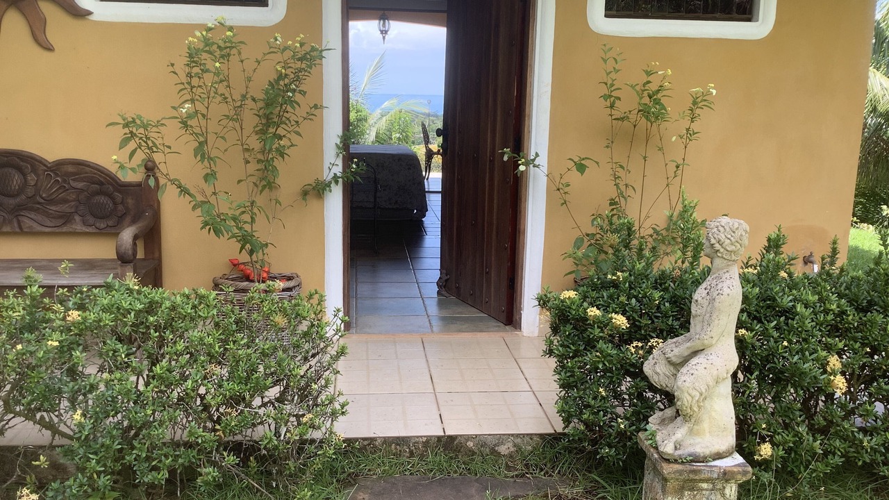 Photo of Outdoor in Ballena