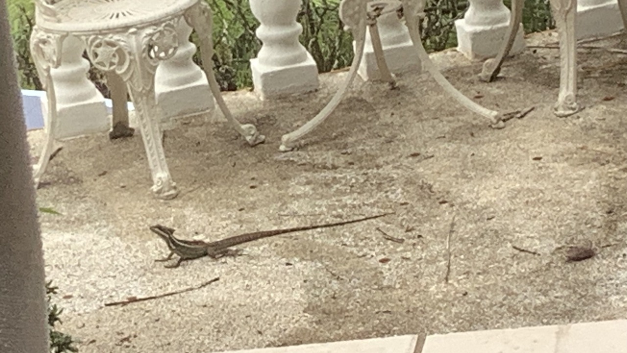 Photo of Outdoor in Ballena