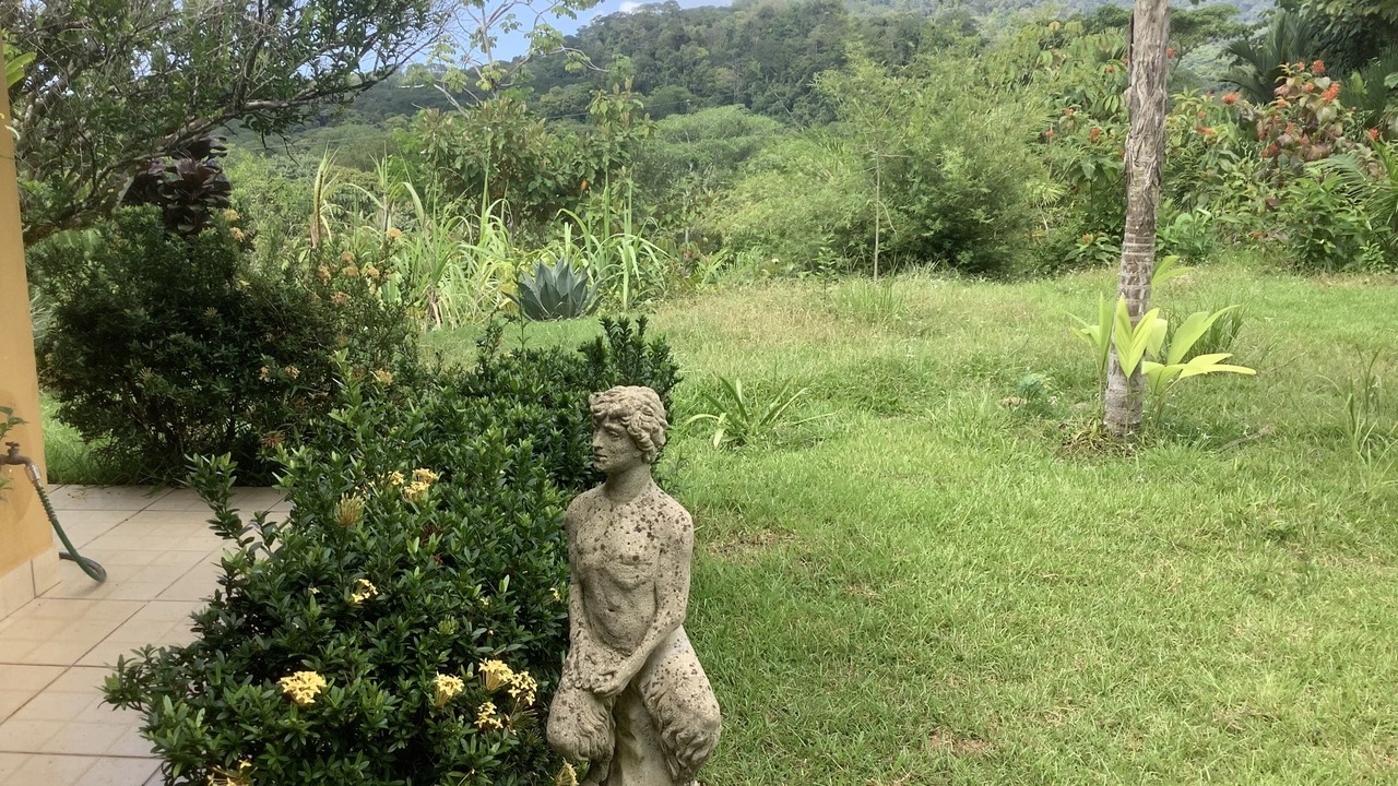 Photo of Outdoor in Ballena