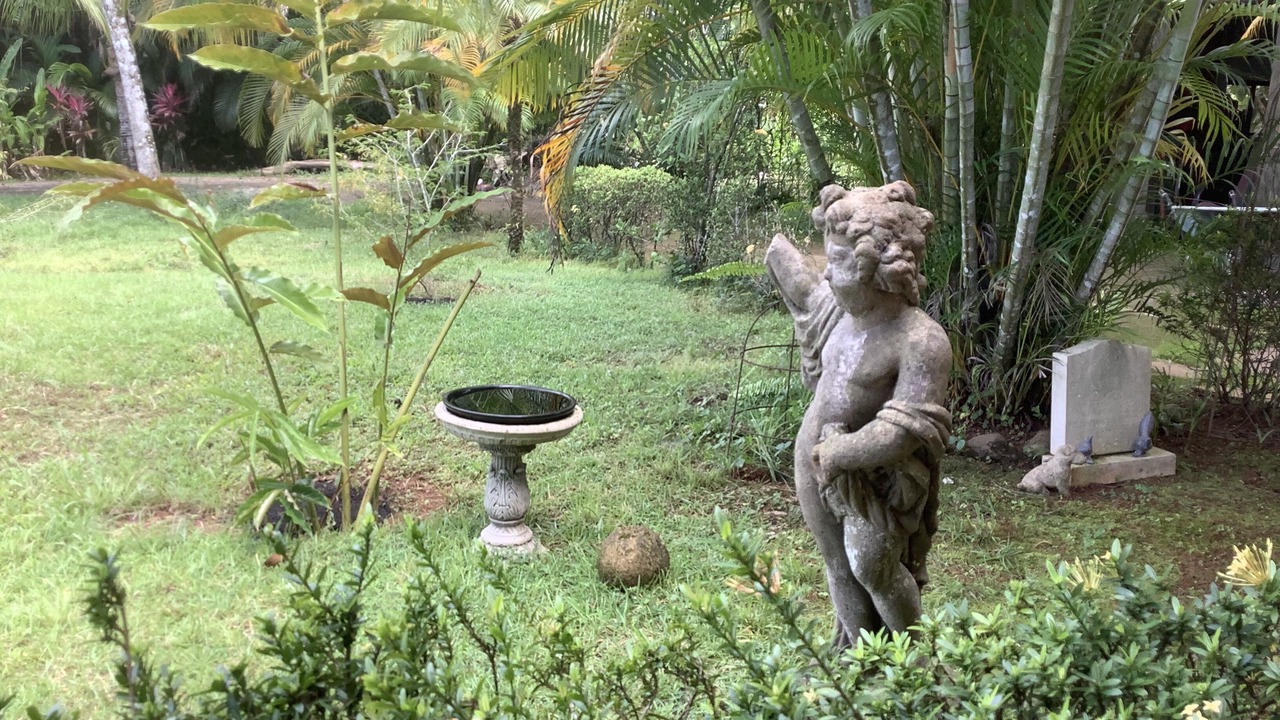 Photo of Outdoor in Ballena