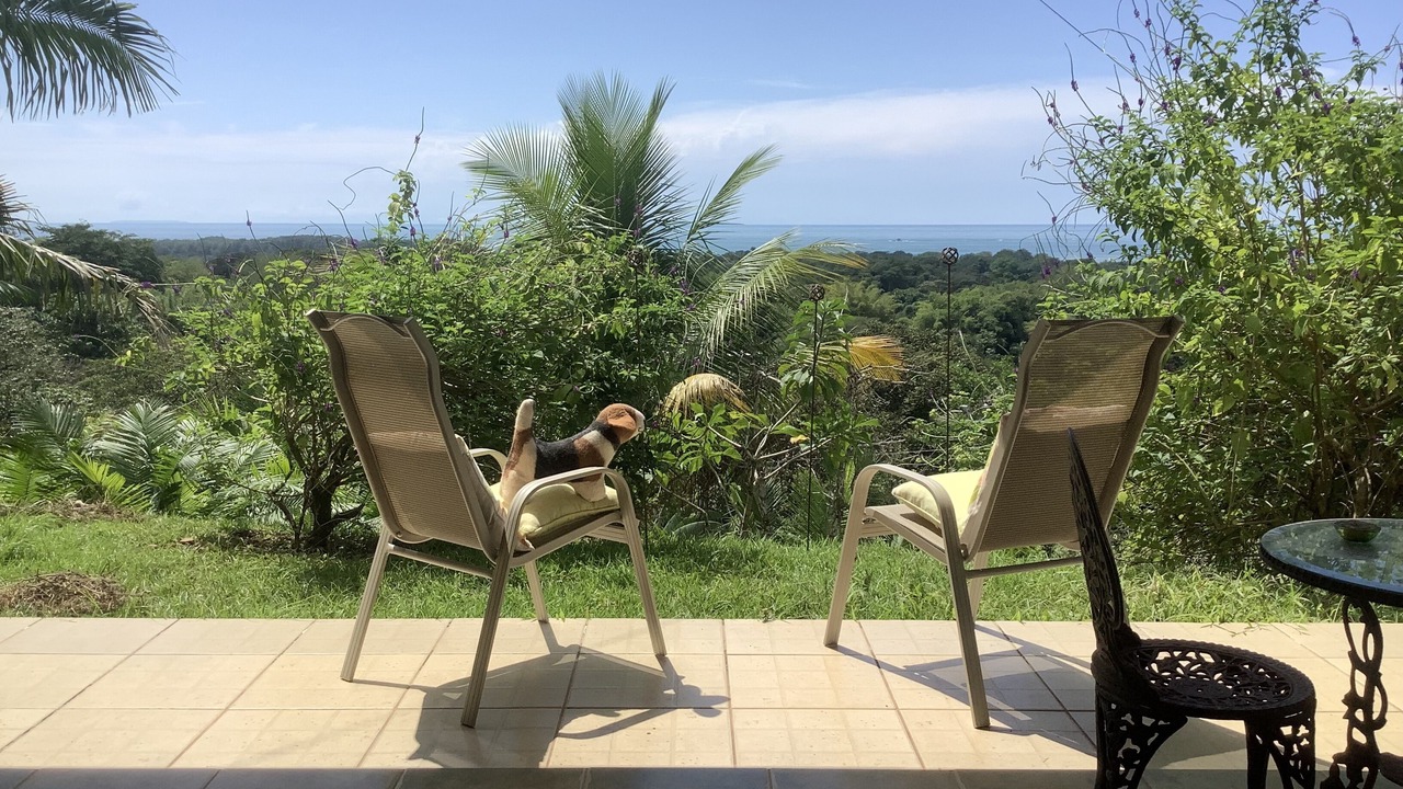 Photo of Patio Balcony in Ballena