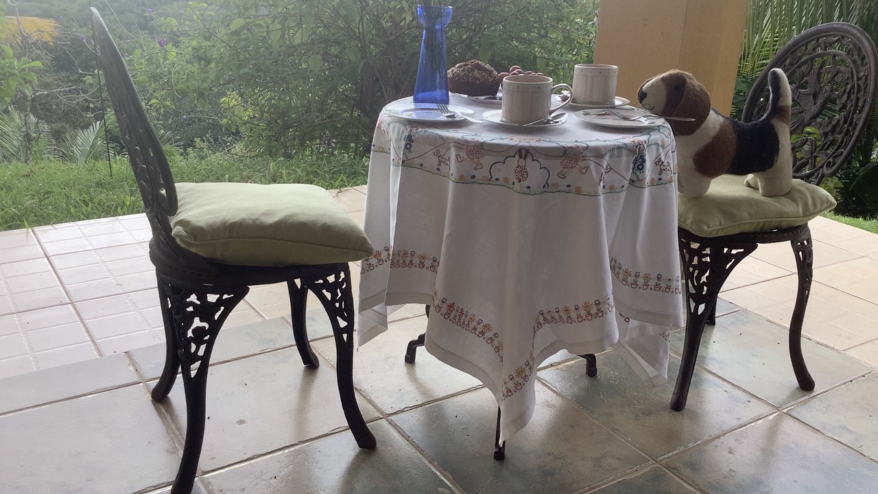 Photo of Outdoor in Ballena