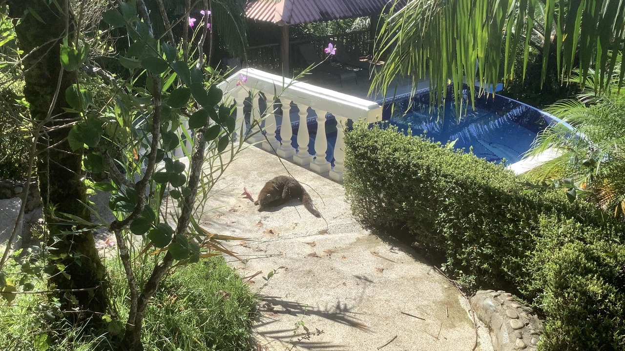 Photo of Outdoor in Ballena