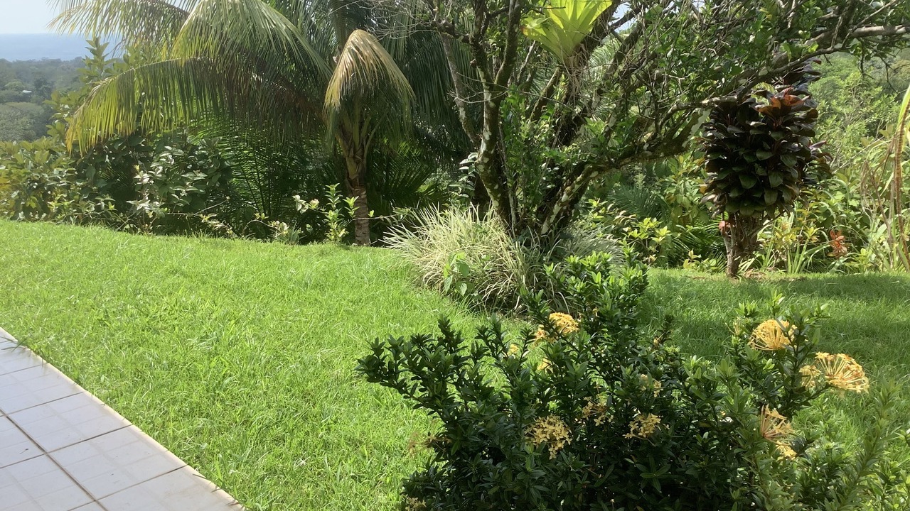 Photo of Outdoor in Ballena