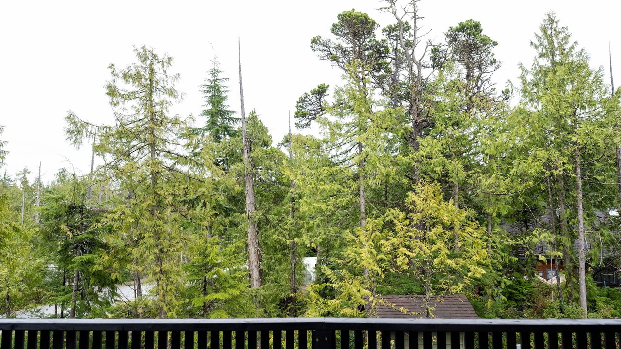 Photo of Outdoor in Ucluelet