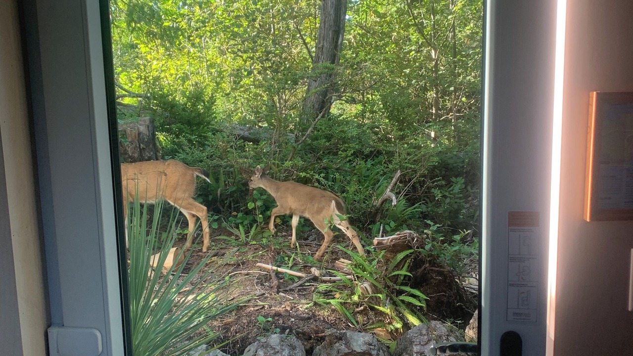 Photo of Others in Ucluelet