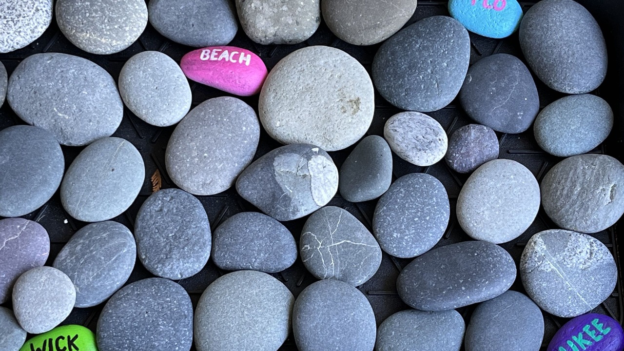 Photo of Others in Ucluelet