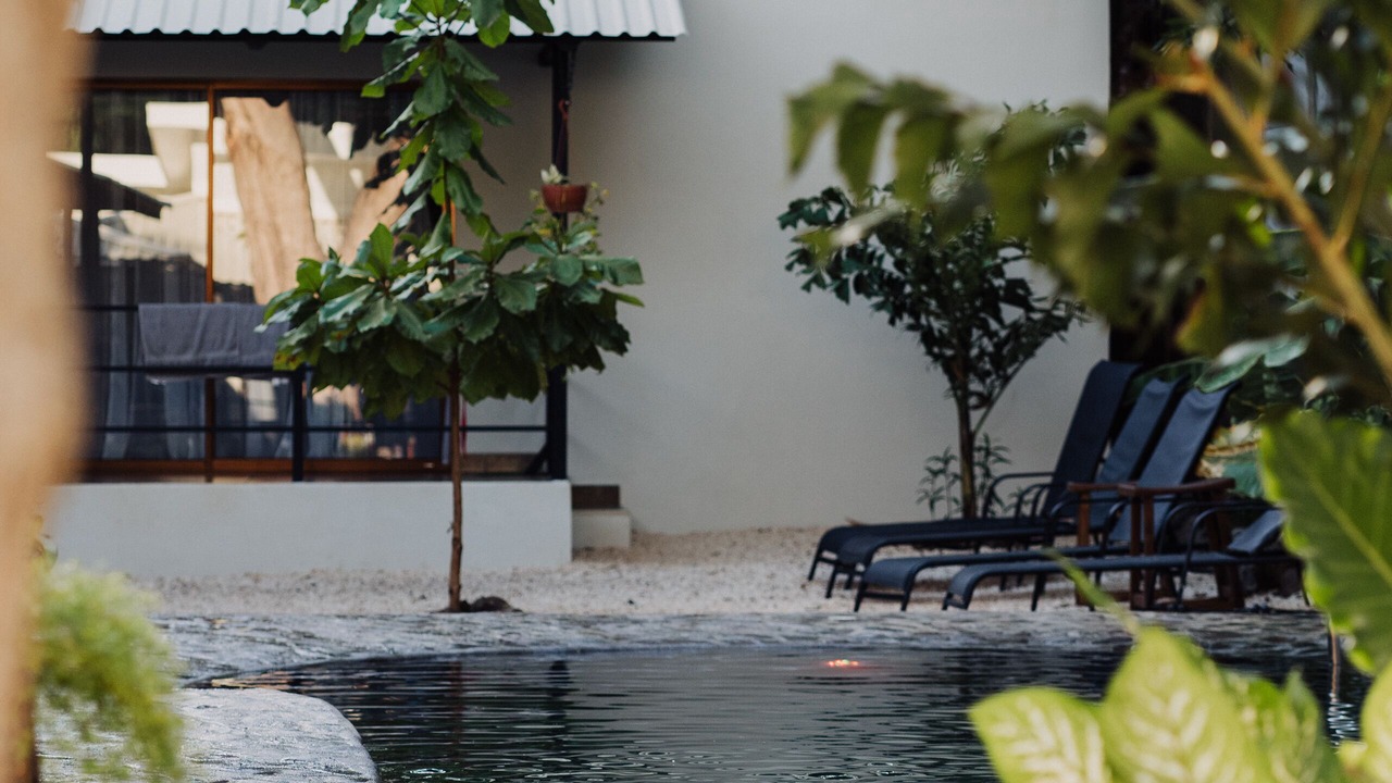 Photo of Outdoor in Avellanas Beach