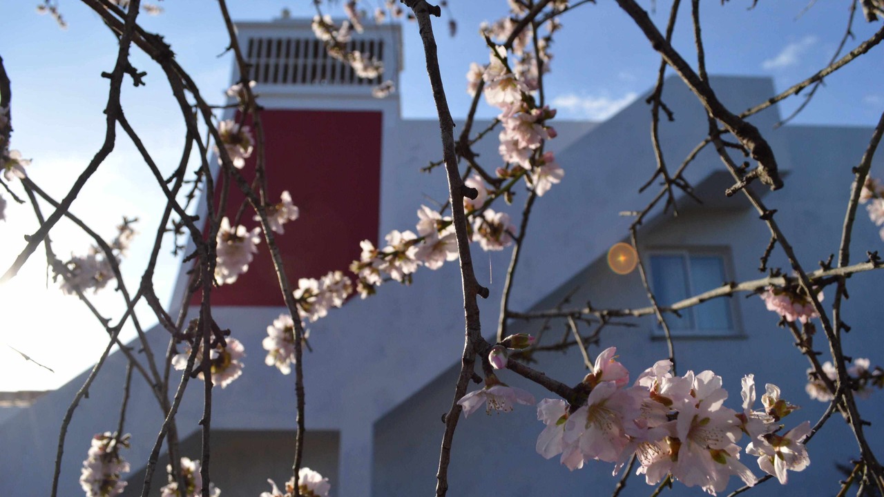 Photo of Outdoor in Silves