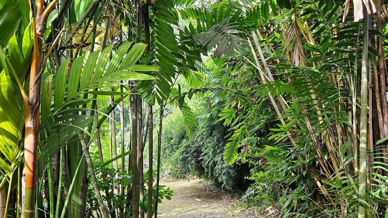 Photo of Outdoor in Uvita
