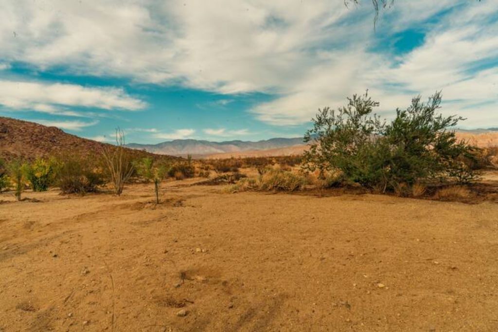 Photo of Outdoor in Borrego Springs