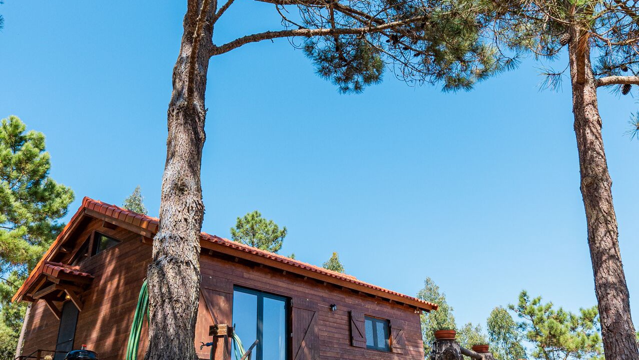 Photo of Outdoor in Ericeira