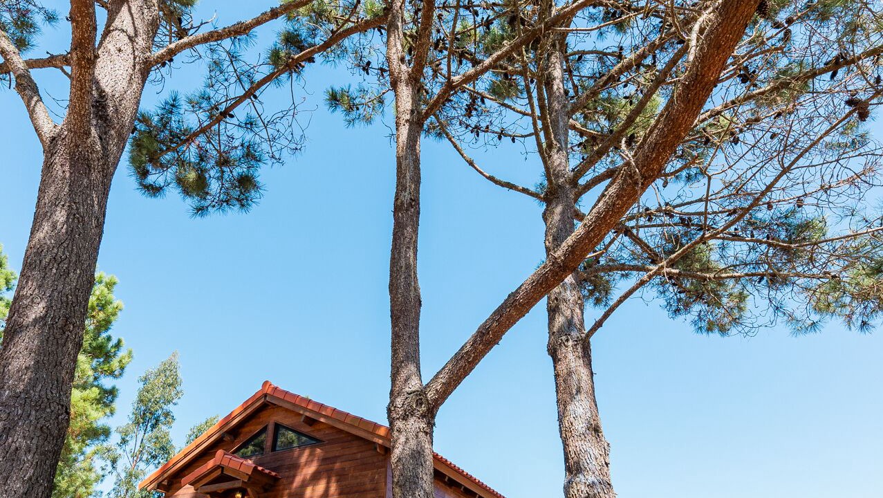 Photo of Outdoor in Ericeira