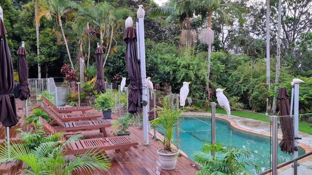 Photo of Outdoor in Tallebudgera Valley